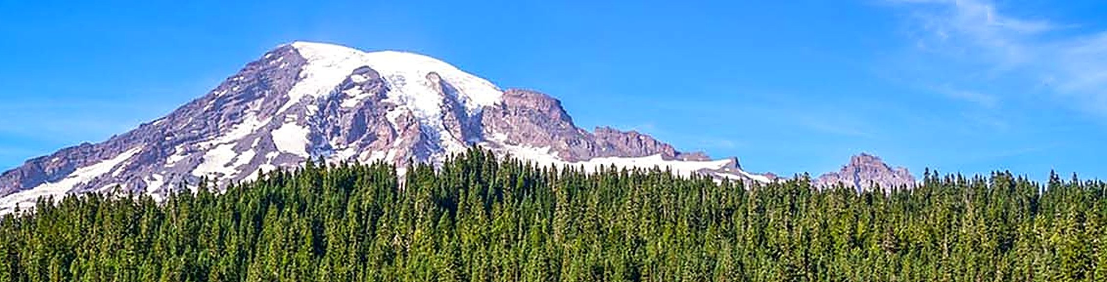 Snow-capped Cascade mountain over evergreen forest — the Yeh Orthodontics header image